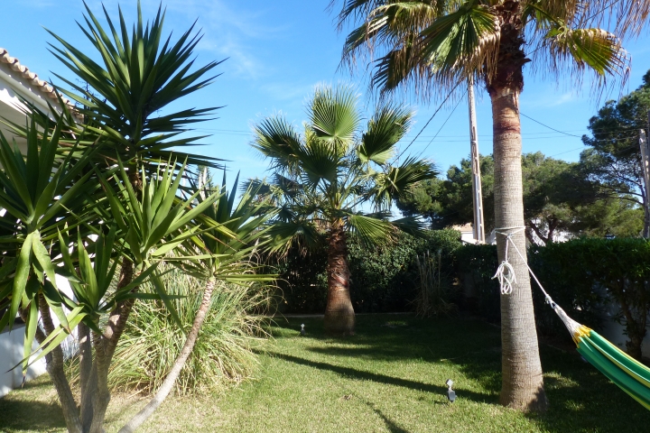 gepflegter Garten