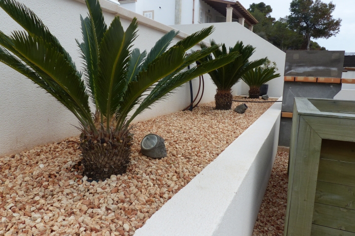 Palmenbepflanzung zwischen Pool und Grill
