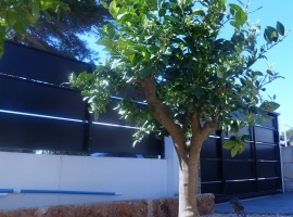 Foto 19