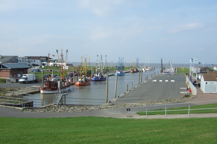 Kutterhafen direkt hinter dem Deich