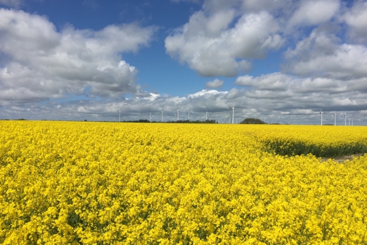 Landschaft in der Umgebung