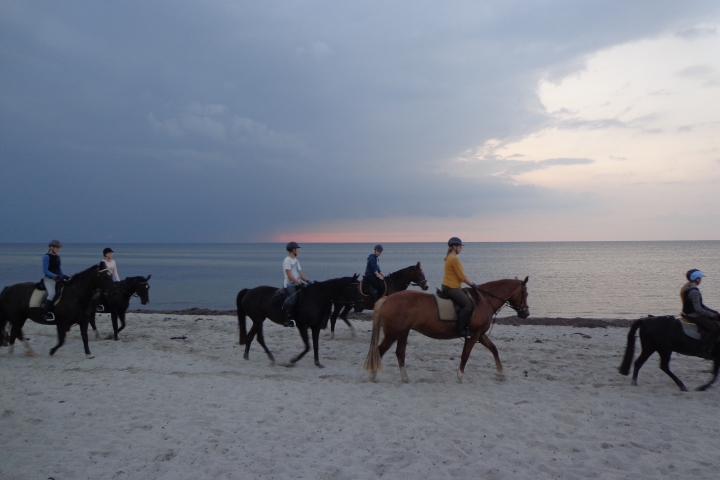 Erlebnis: Reiten am Strand