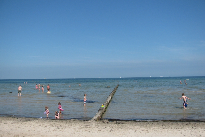 Strand an der Ostsee, Schwarzer Busch