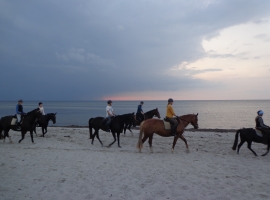 Foto 16