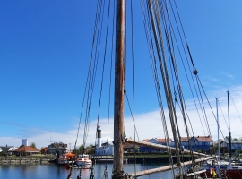 Foto 18