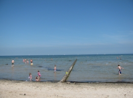 Strand an der Ostsee, Schwarzer Busch