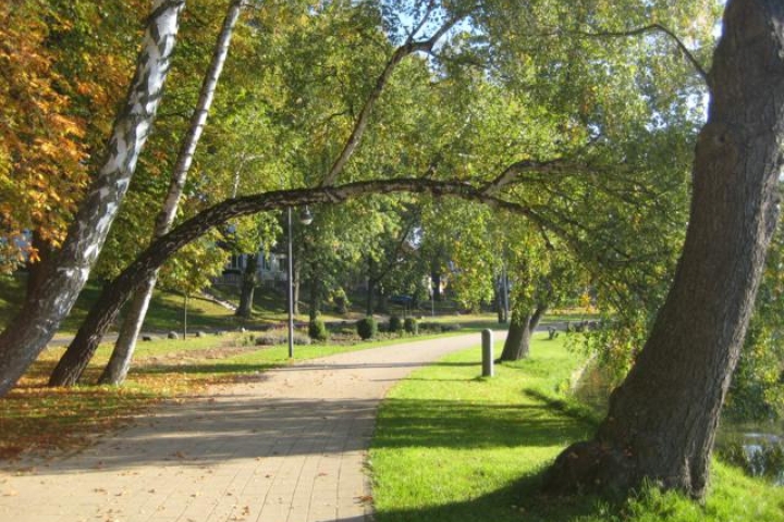 Müritzpromenade (3min. Fußweg entfernt)