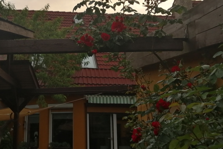 Haus- Ausschnitt, Hofansicht 