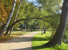 Foto 19
