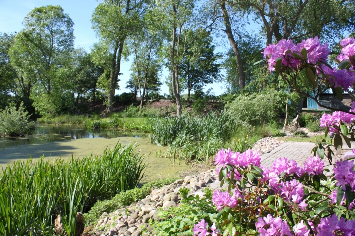 Der Reuterteich