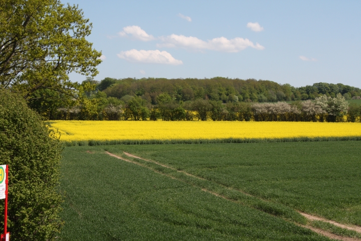 Ausblick vom Reuterteich