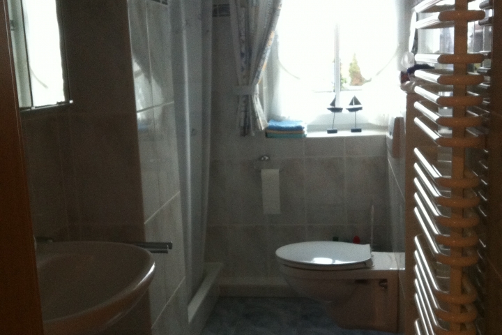 Bad mit Dusche und WC im Obergeschoß.