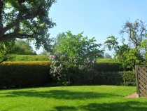 Blick von der Terrasse Fewo 1 in den wunderschönen Garten den Sie natürlich nutzen können