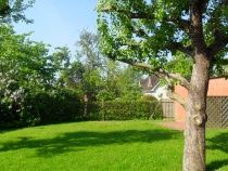 Blick von der Terasse Fewo 2 in den Garten den Sie natürlich nutzen können