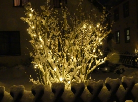 Foto 9