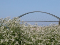 Die Fehmarnsundbrücke, das Wahrzeichen der Insel Fehmarn