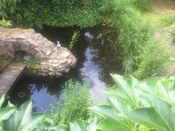 Garten mit Teich