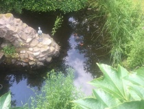 Foto 16