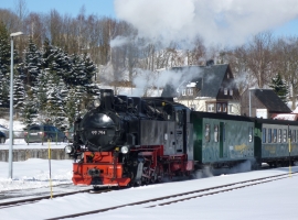 Dampflok, fährt ca.100m vor dem Haus vorbei