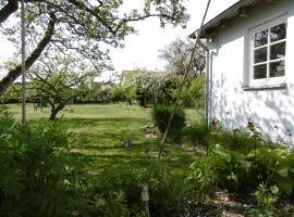 Blick von der Terrasse in den Garten