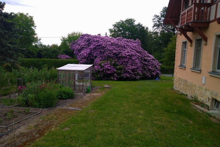 im Garten