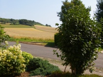 sagenhafter Weitblick von der Terrasse aus, mit Morgensonne, ein ideales Plätzchen zum Frühstücken