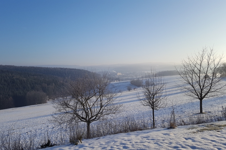 Ferienhof Günterfürst Erbach im Odw.
Aussenansicht Winter