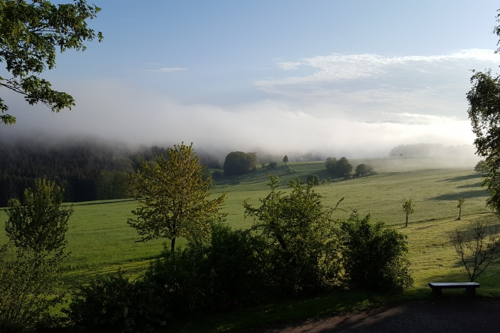 Ferienhof Günterfürst Erbach im Odw.
Aussicht