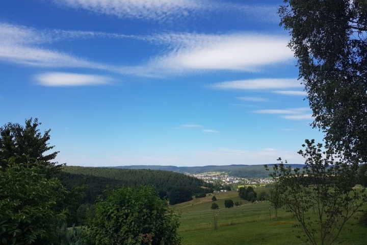 Ferienhof Günterfürst Erbach im Odw.     
Aussicht