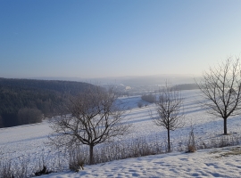 Ferienhof Günterfürst Erbach im Odw.     
Aussenansicht Winter