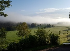 Ferienhof Günterfürst Erbach im Odw.     
Aussicht