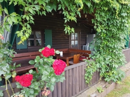 Ferienhof Günterfürst Erbach im Odw.     
Hütte mit geschützte Sitzplätze 
