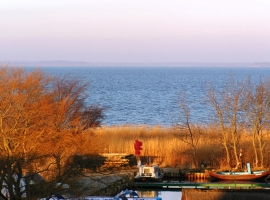 Foto 21