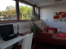 Foto 11