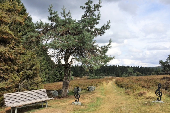 Wandern im Einklang mit der Natur