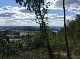 Foto 23