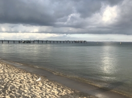 Foto 16