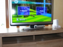 TV mit Wii und diversen Spielen