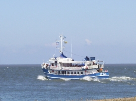 Foto 15