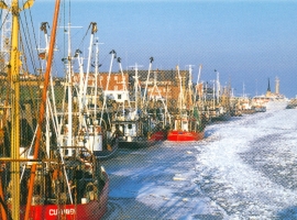 Foto 9