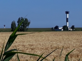 Foto 10