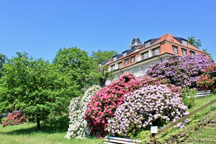 Ferienwohnung Natur und Kunst | Das Haus König Albert vom Weinberg aus gesehen.