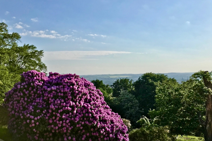 Blick aus dem Garten in Erzgebirge