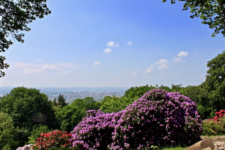 Blick  aus dem Garten zur Altstadt Dresdens