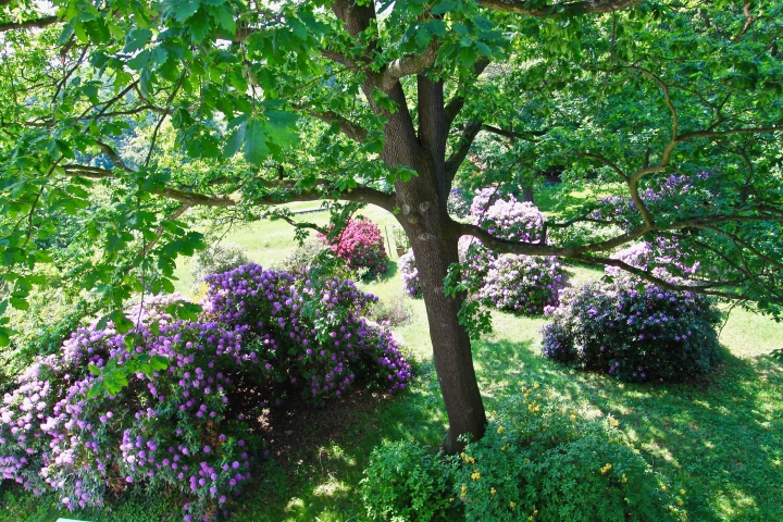 Blick vom Balkon in den Garten