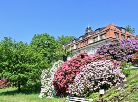 Ferienwohnung Typ A - Foto 1