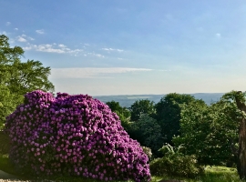 Foto 17