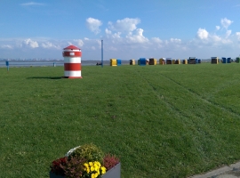 Foto 19