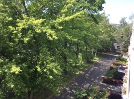 Foto 15