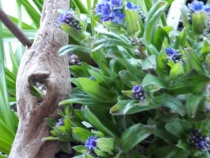 Foto 8